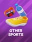 기타 스포츠