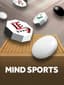 마인드 스포츠