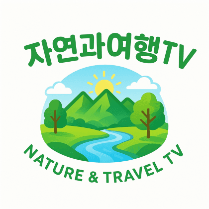 불꽃TV