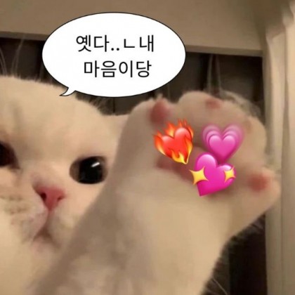 슬퍼요