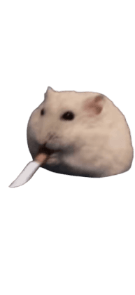 쌀리킹