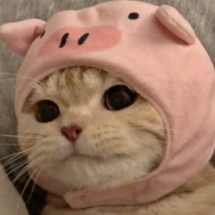 ㅈㅁ