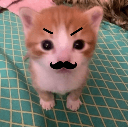 진짜삼삼이
