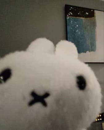 뽀꾸