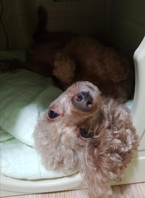 알고띠~!