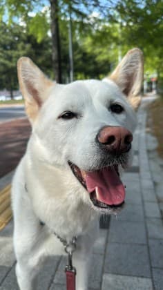 진만5
