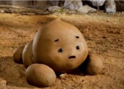 골드침팬지 프로필