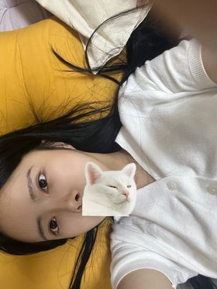 치즈22222