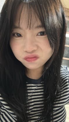 순애얌