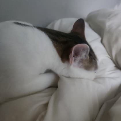 따뜻한병