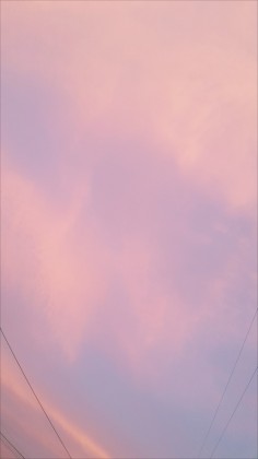 오렌지상콤