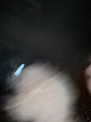 오윤식