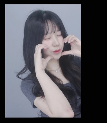 콜라견조지기