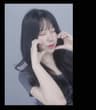 콜라견조지기 프로필