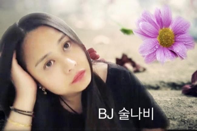 ㅇ술나비ㅇ