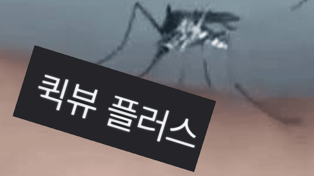 퀵뷰모기 프로필
