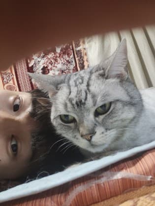 촌뜨기.