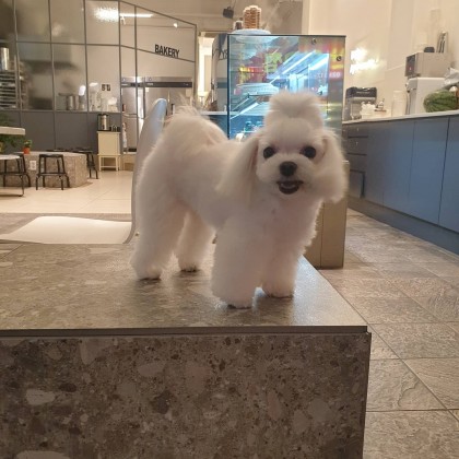 둥실아범 프로필