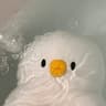 진유성 프로필