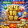 할리스튜TV 프로필