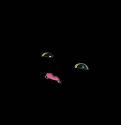 채희1