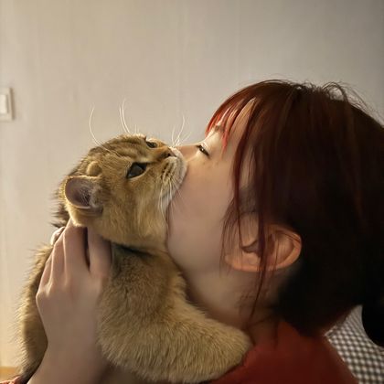 성화:)