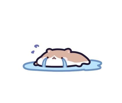 알꺼엄써 프로필