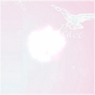 뽀나♥