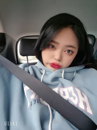 댕지수 프로필