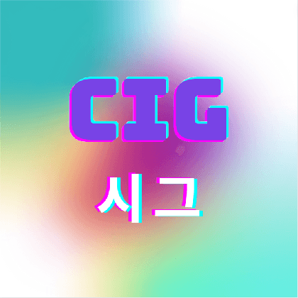 CIG시그