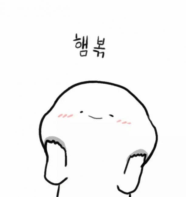 강아히