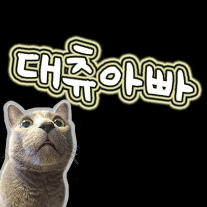 대츄아빠 프로필