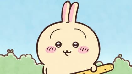 냉채해파리