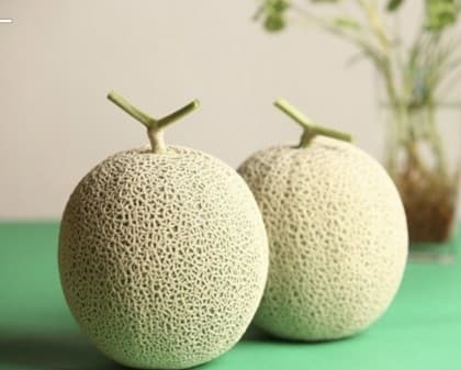 메론v