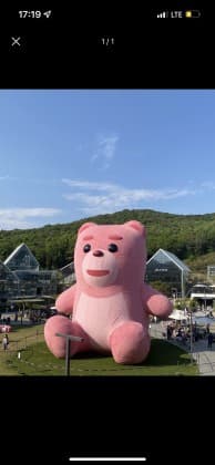 동재가도아해