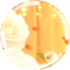 추냥♥ 프로필