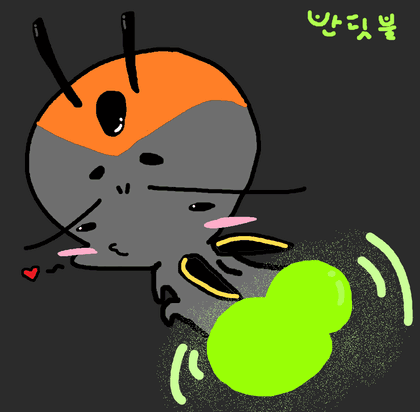 (반딧부리) 프로필