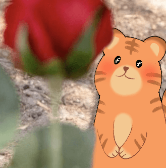 최폭풍