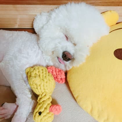 이짱구우._.