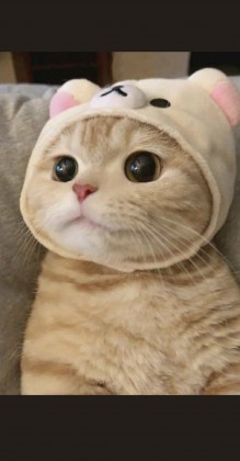 토순이^ 프로필