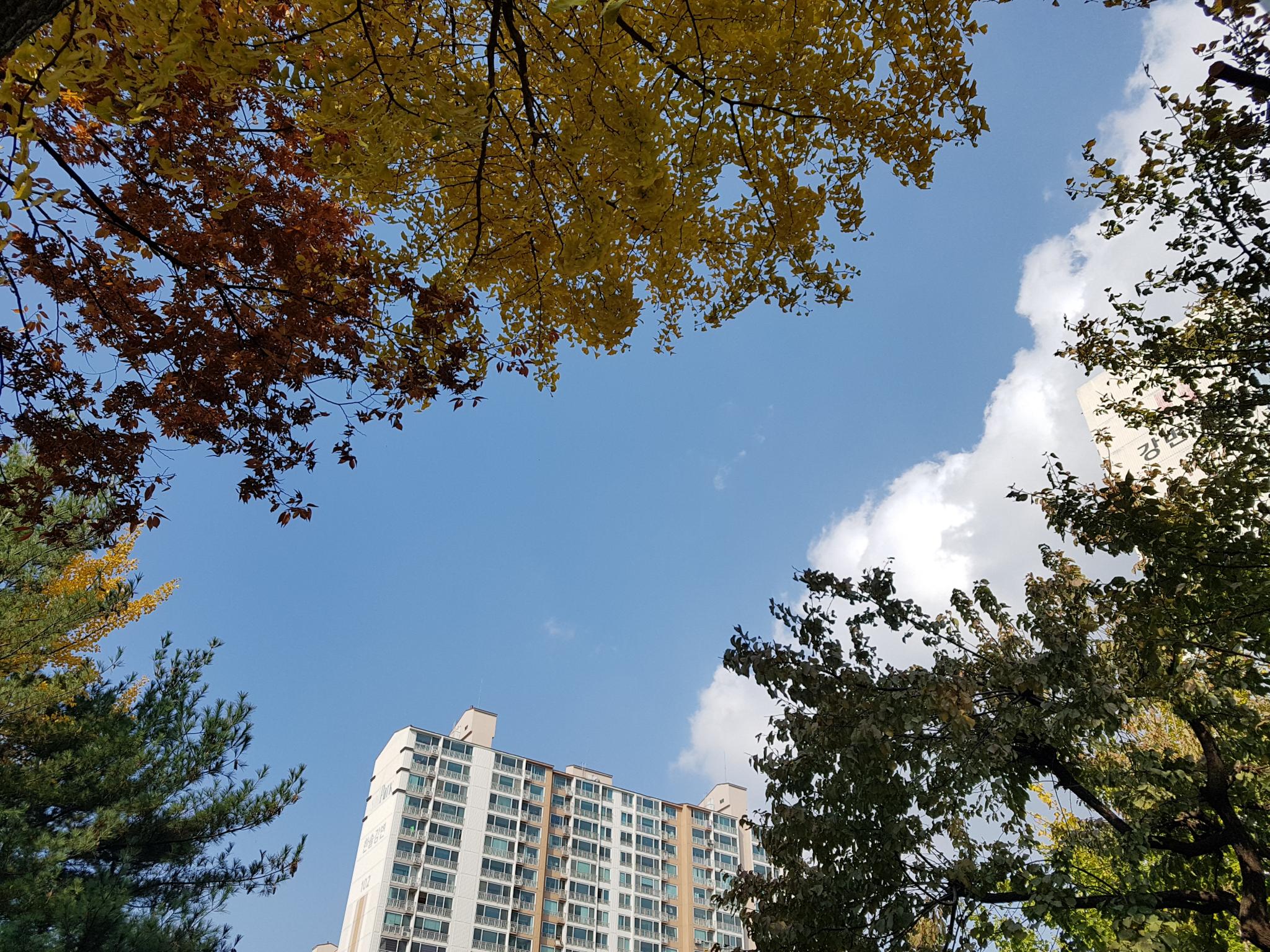 풍부하게