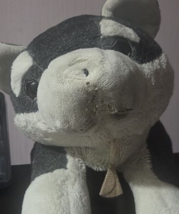 어린뭉이