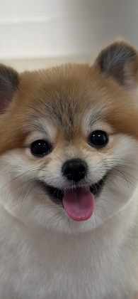 인스파이어 프로필