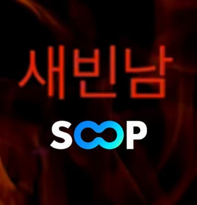 새빈남