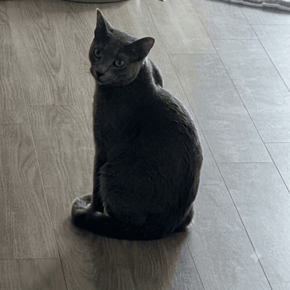 미끝