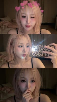 히나쪼아