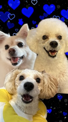 이격