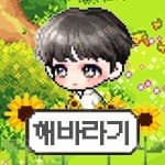 dohee♡라기 프로필