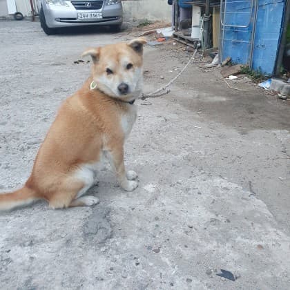 핸드잡 프로필