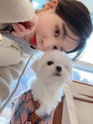 김푸이
